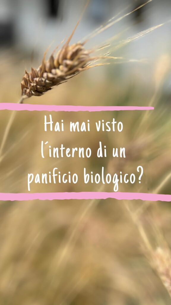 Per il nostro progetto „Più Biologico Regionale in Europa“ collaboriamo strettam...